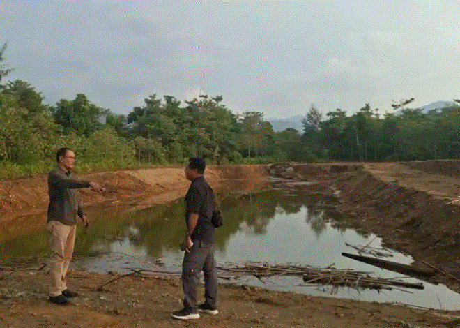 DLH Malut Meninjau Dugaan Pencemaran Lingkungan oleh PT JAS dan PT ARA
