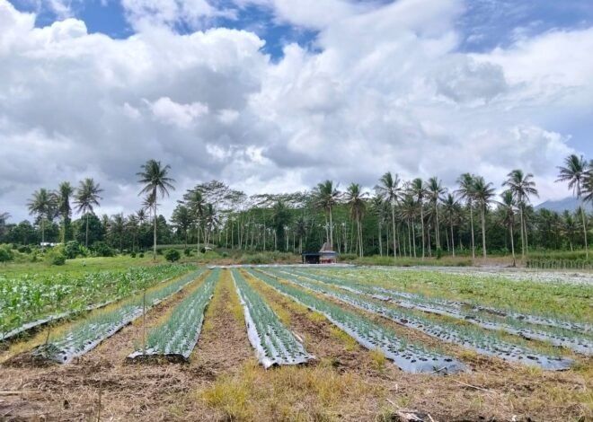 STPK BANAU SIAP MENDUKUNG KETAHANAN PANGAN