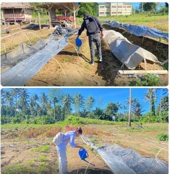 “Bakobong” dan Inflasi: Antara Solusi Rakyat dan Kewajiban Negara.